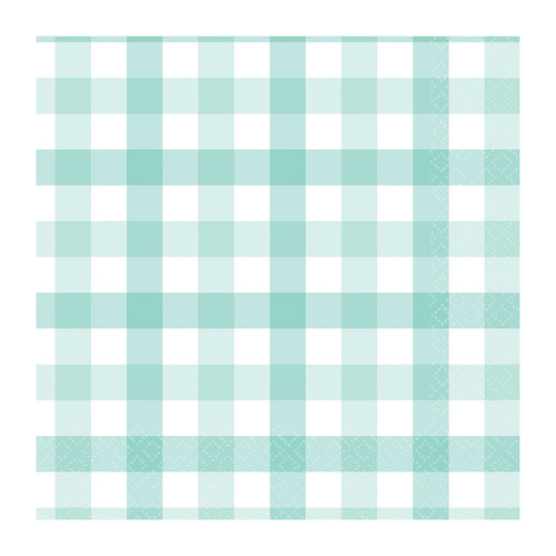 Gingham Lunch Napkin Pastel Mint 16 Pack