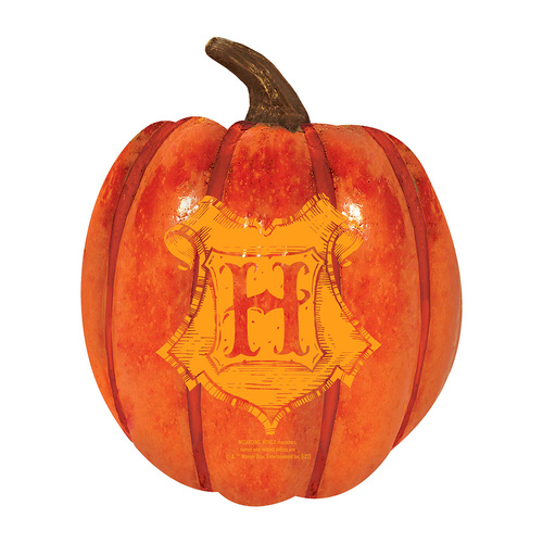 Harry Potter Foam Pumpkin