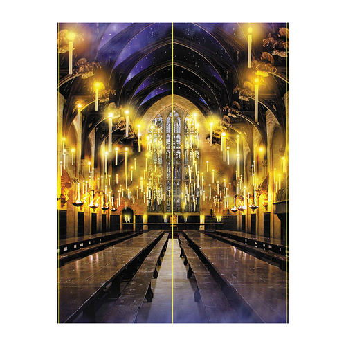 Harry Potter Scene Setter 2Pc