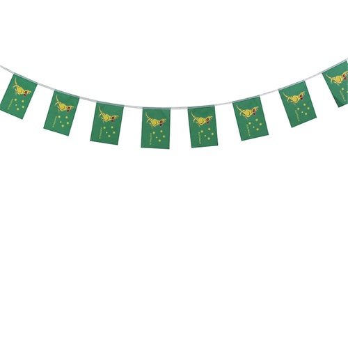 Boxing Kangaroo Australia Day Bunting  3 Metre