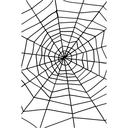 Spider & Spiders Web