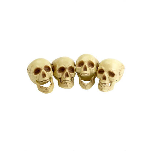 Skull Heads 4 Pack