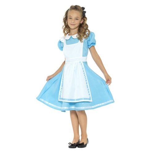 Wonderland Princess Dress Costume