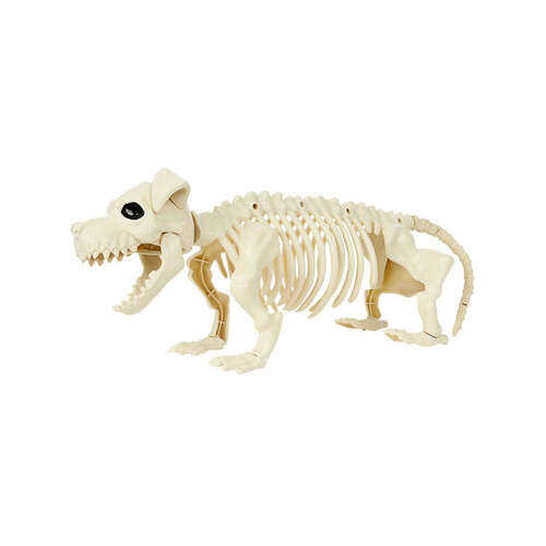 Dog Skeleton Prop