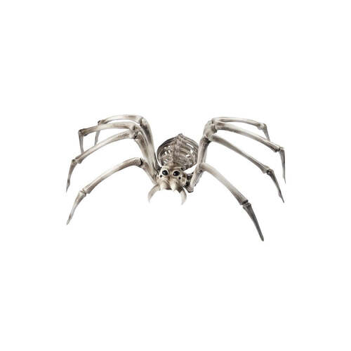 Spider Skeleton Prop