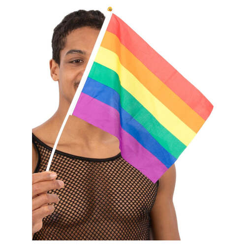 Hand Held Rainbow Flags 12 Pack