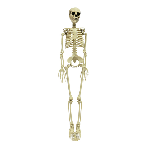 90cm Life like Skeleton Decoration - Realistic Halloween Prop