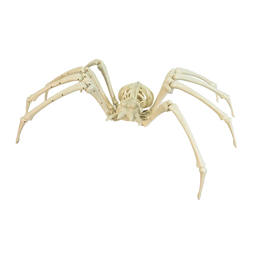 84cm Skeleton Tarantula Spider ?û Giant Halloween Creepy Crawling Prop